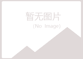 黄陵县雪青化学有限公司